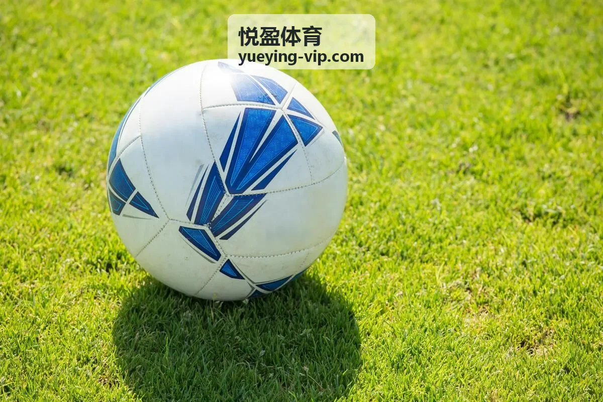 成绩分析图标